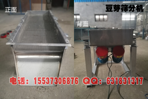 豆芽篩分機(jī)