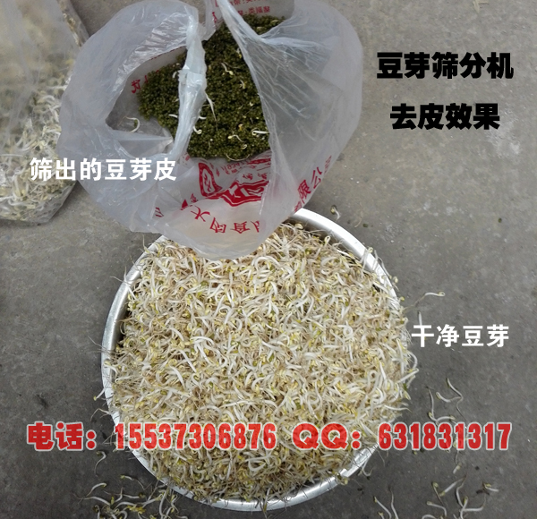 豆芽去皮機效果