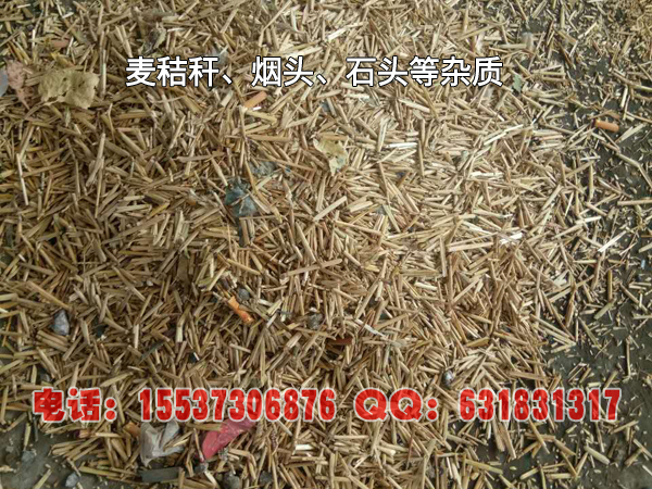 (dng)YY(li)ն