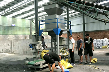 鑄造砂定量包裝機(jī)